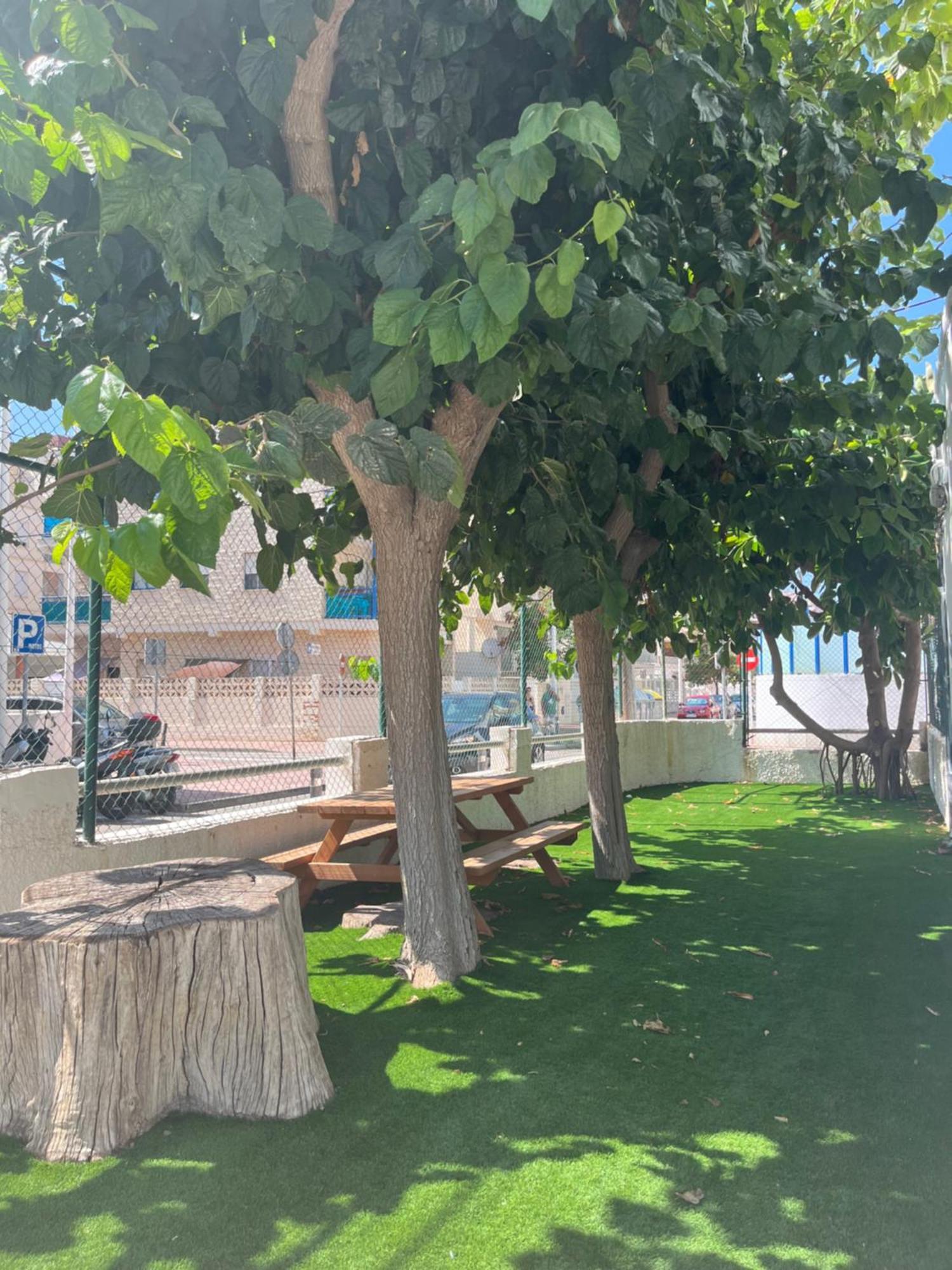 Apartamento 1ª Linea De Playa - Con Piscina Y Parking Playa de Gandia エクステリア 写真